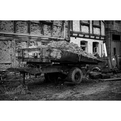 1021082_C.jpg - Leica Summilux-M 50mm f/1.4 ASPH. Lens (Leica M, Black, 2023 Version) - Thumbnail 3