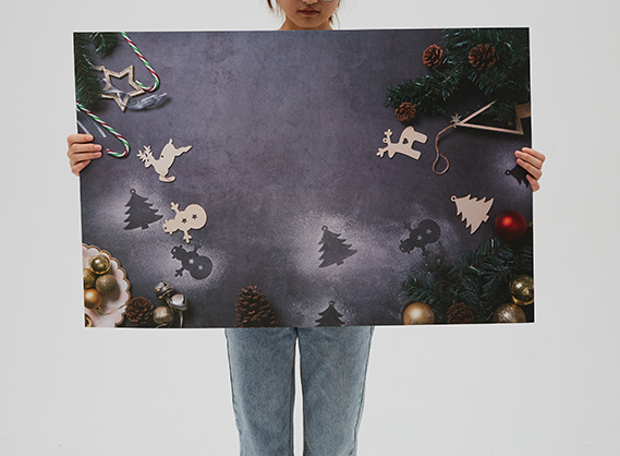 1022102_C.jpg - Krane 57x87cm 2 sides Backdrop XMAS - Image 3