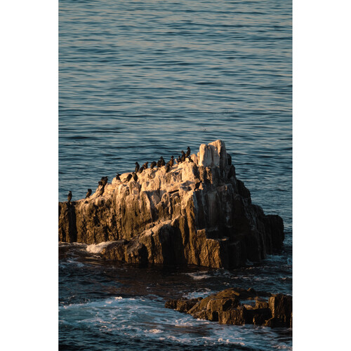 1022412_B.jpg - Tokina SZ 300mm f/7.1 Pro Reflex MF CF Lens (Sony E) - Image 2