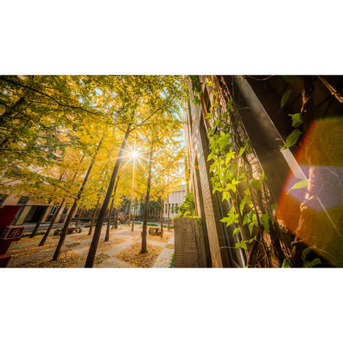 1022542_C.jpg - Laowa 10mm f/2.8 Zero-D FF Manual Focus Lens (Leica L, 5-Blade Aperture) - Thumbnail 3