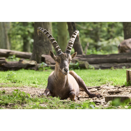 1023632_A.jpg - Leica Extender L 2.0x - Image 1