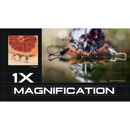 1024232_B.jpg - Laowa 100mm F/2.8 Tilt-Shift 1X MACRO Lens Leica L - Image 2