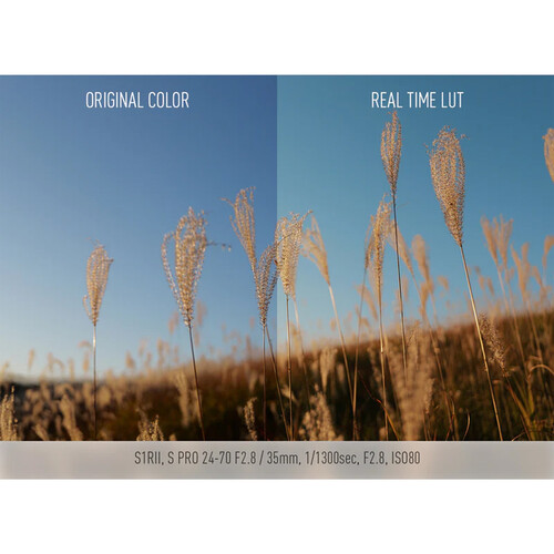 1024472_D.jpg - Panasonic Lumix S1R II Mirrorless Camera - Image 4