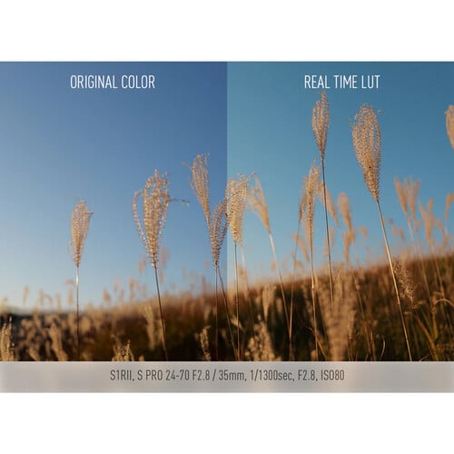 1024472_D.jpg - Panasonic Lumix S1R II Mirrorless Camera - Image 4