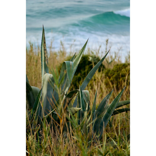 1024512_C.jpg - Sigma 16-300mm f/3.5-6.7 DC OS Contemporary Lens (L-Mount) - Thumbnail 3