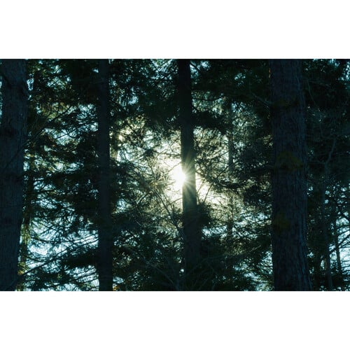 1024512_E.jpg - Sigma 16-300mm f/3.5-6.7 DC OS Contemporary Lens (L-Mount) - Thumbnail 5