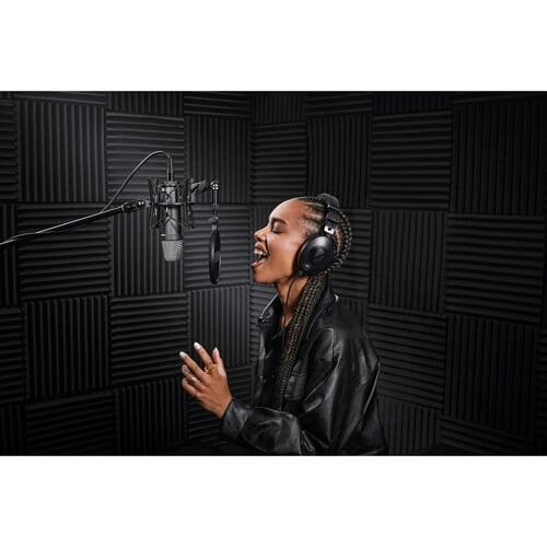 1024652_C.jpg - RODE NT1 Signature Series Large-Diaphragm Condenser Microphone (Black) - Image 3