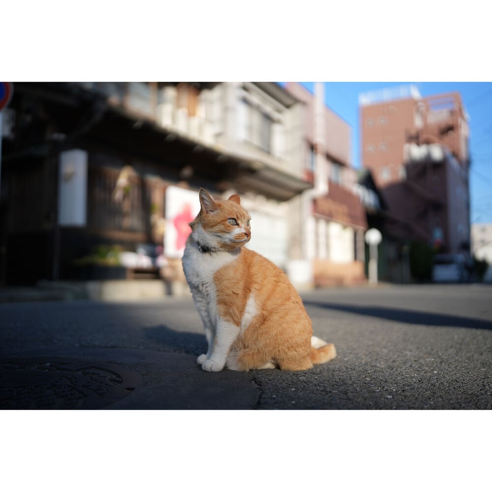 1026162_C.jpg - Sigma Sony FE 35mm f/1.4 DG II Art Lens - Thumbnail 3