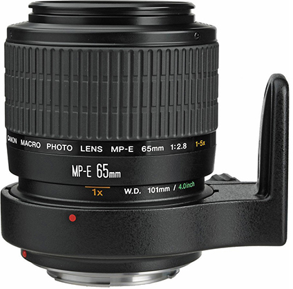 Canon MP-E65 F2.8 Macro Lens