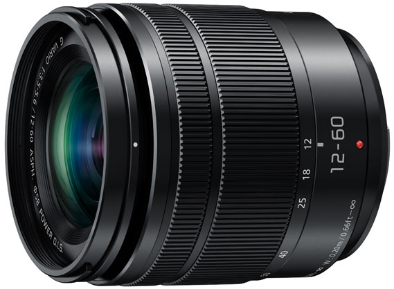 Panasonic Lumix G 12-60mm F3.5-5.6 Lens - Weather sealed - Best Available Image