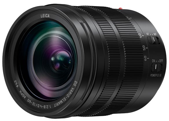 1013303_C.jpg - Panasonic Leica DG Vario-Elmarit 12-60mm f/2.8-4 ASPH - Image 3