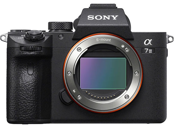 Best image for Sony A7 III Body Only