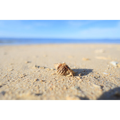 1018563_E.jpg - Canon RF 16mm f/2.8 STM Lens - Thumbnail 5