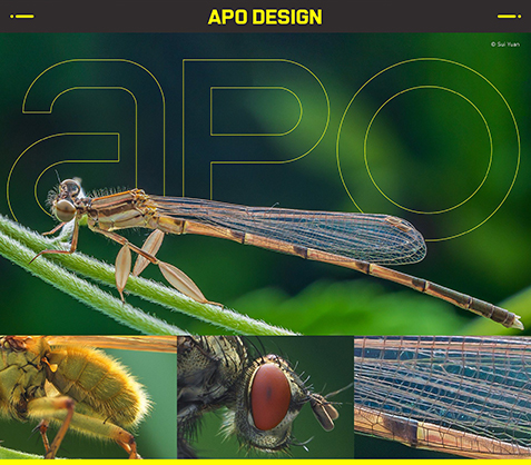 1019963_E.jpg - Laowa 58mm f/2.8 2X Ultra Macro APO L Mount - Image 5