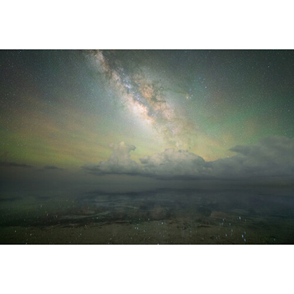 1021353_E.jpg - Sigma 14mm f/1.4 DG DN Art Lens (Sony E) - Image 5