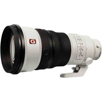 Best image for Sony FE 300mm f/2.8 GM OSS Lens