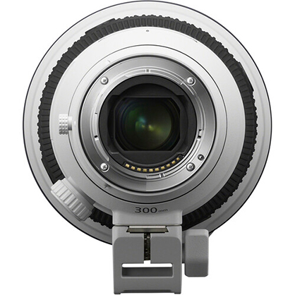 1021963_D.jpg - Sony FE 300mm f/2.8 GM OSS Lens