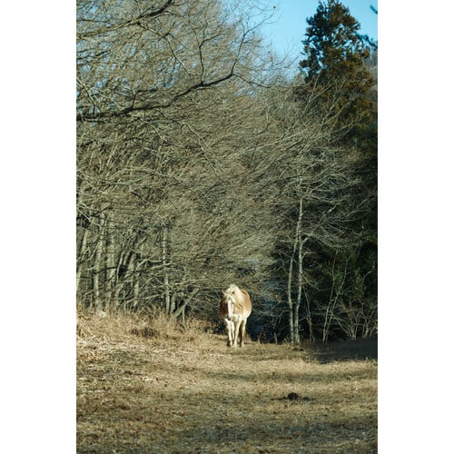 1024513_D.jpg - Sigma 16-300mm f/3.5-6.7 DC OS Contemporary Lens (FUJIFILM X) - Thumbnail 4