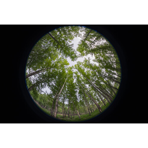 1024943_E.jpg - Laowa 8-15mm f/2.8 Fisheye Lens (Nikon Z) - Image 5