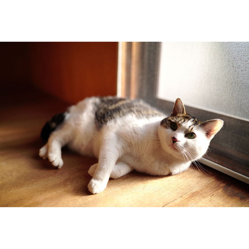 1026163_E.jpg - Sigma Leica L 35mm f/1.4 DG II Art Lens - Thumbnail 5