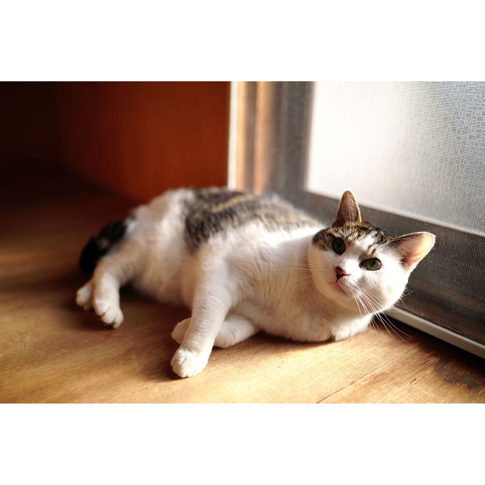 1026163_E.jpg - Sigma Leica L 35mm f/1.4 DG II Art Lens - Image 5