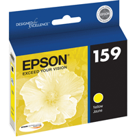 Best image for Epson Yellow Ink Cartridge - R2000