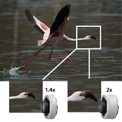 1015284_A.jpg - Sony FE 200-600mm f/5.6-6.3 G OSS Lens - Image 1