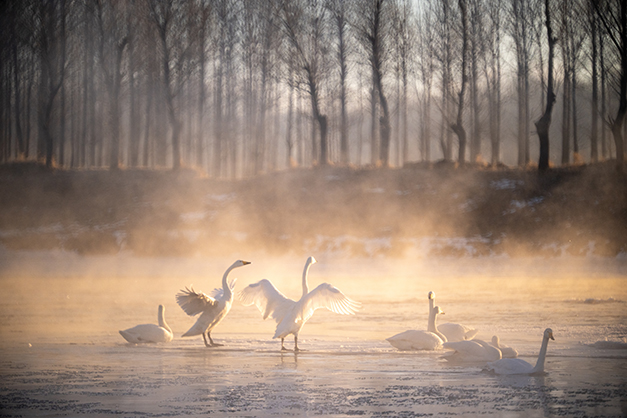 1022544_C.jpg - Kase 200mm F5.6 Reflex Lens Canon EF Mount - Image 3