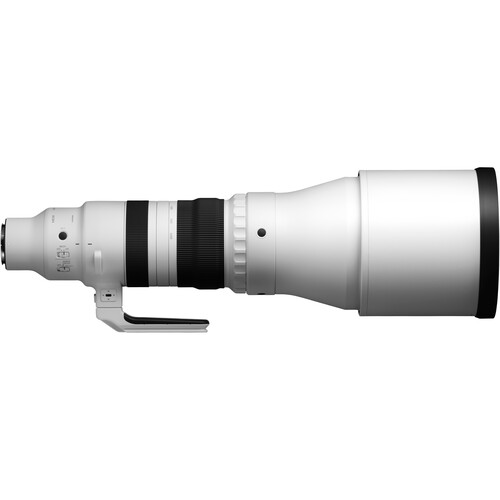 Best image for Sigma 300-600mm f/4 DG OS Sports Lens (Sony E)