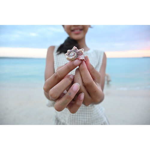 1025644_D.jpg - Nikon NIKKOR Z DX 16-50mm f/2.8 VR Lens - Thumbnail 4