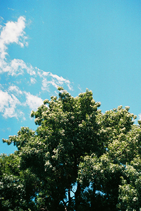 1026774_A.jpg - LUCKY Colour 200 120 Film C41 - Image 1