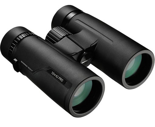 Olympus 10x42 Pro Binocular