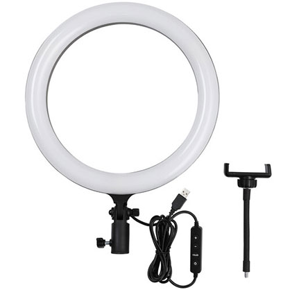 Godox Bi-Color 12" LED Ring Light (Black)