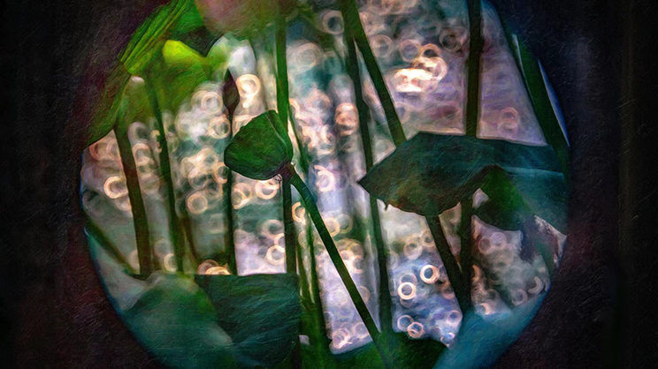 1022545_A.jpg - Kase 200mm F5.6 Reflex Lens Canon RF Mount - Image 1