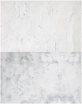 Krane 57x87cm 2 sides Backdrop WY-L21