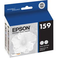 Epson Gloss Optimiser Ink Cartridge - R2000