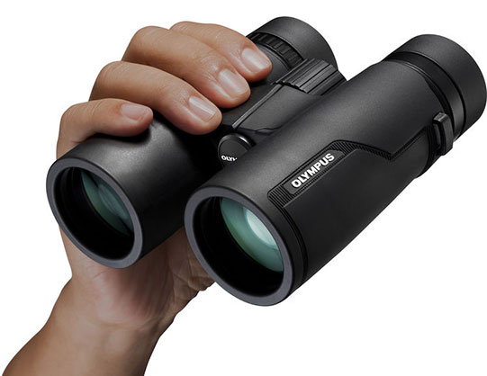 1014966_D.jpg - Olympus 8x42 Pro Binocular - Image 4