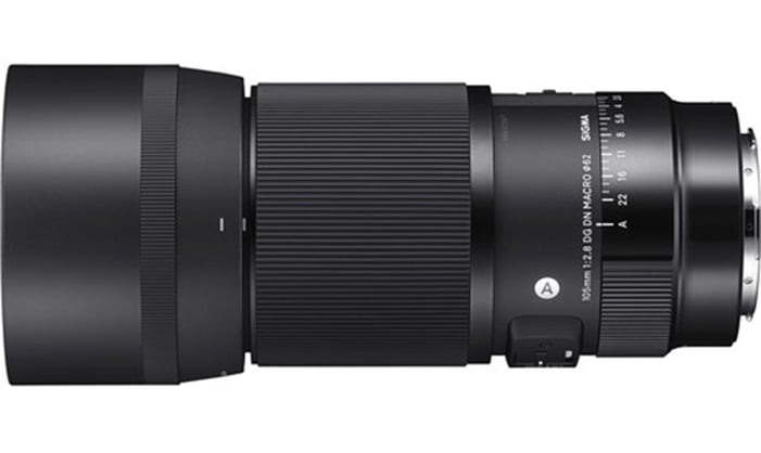 Sigma 105mm f/2.8 DG DN Macro Art - L mount