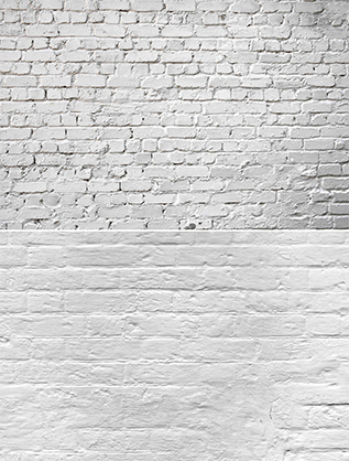 Krane 57x87cm 2 sides Backdrop WY-L31
