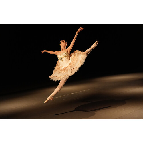 1024046_D.jpg - Sony FE 28-70mm f/2 GM Lens - Image 4