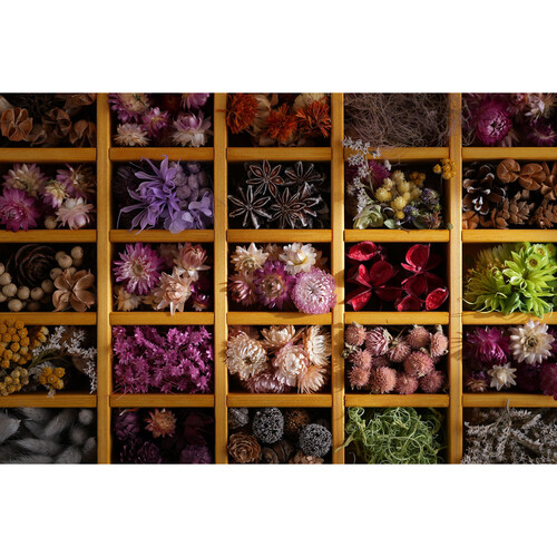 1024046_E.jpg - Sony FE 28-70mm f/2 GM Lens - Image 5