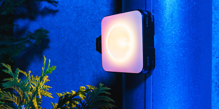 1024216_C.jpg - Newell RGB-W Rangha Nano Sunset LED Light - Image 3