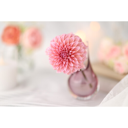 1025386_E.jpg - Canon RF 85mm f/1.4 L VCM Lens - Image 5