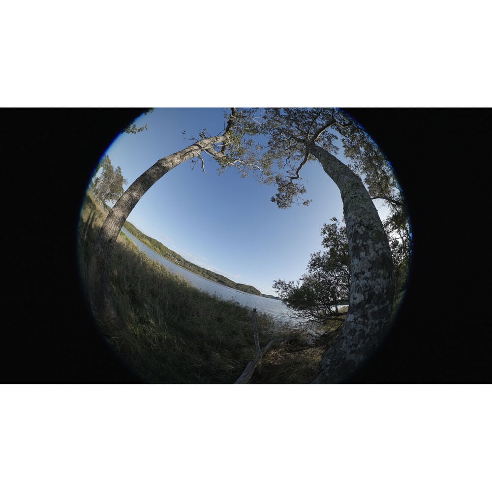 1026066_D.jpg - Canon RF 7-14mm f/2.8-3.5 L Fisheye STM Lens - Image 4
