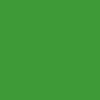 BD Background Roll Veri Green Full Length 2.72m x 11m - Best Available Image