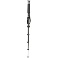 Gitzo GM2561T Traveler 6x CF Monopod - Best Available Image