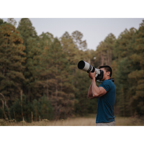 1016927_E.jpg - OM SYSTEM M. Zuiko 150-400mm f/4.5 TC 1.25 IS PRO Lens - Image 5