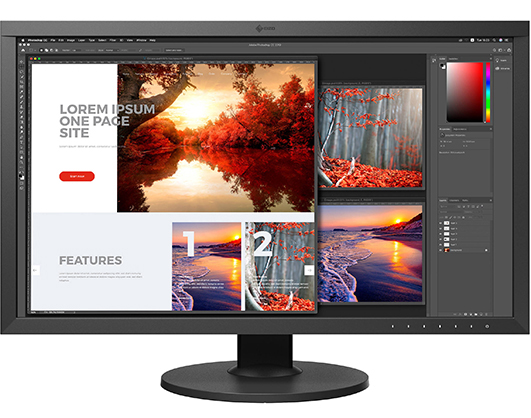 Best image for Eizo 27" Colour LED Monitor CS2740