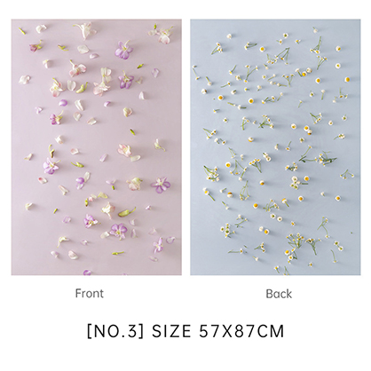 Krane 57x87cm 2 sides Backdrop WY-D03 - Best Available Image