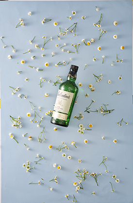 1022097_B.jpg - Krane 57x87cm 2 sides Backdrop WY-D03 - Image 2